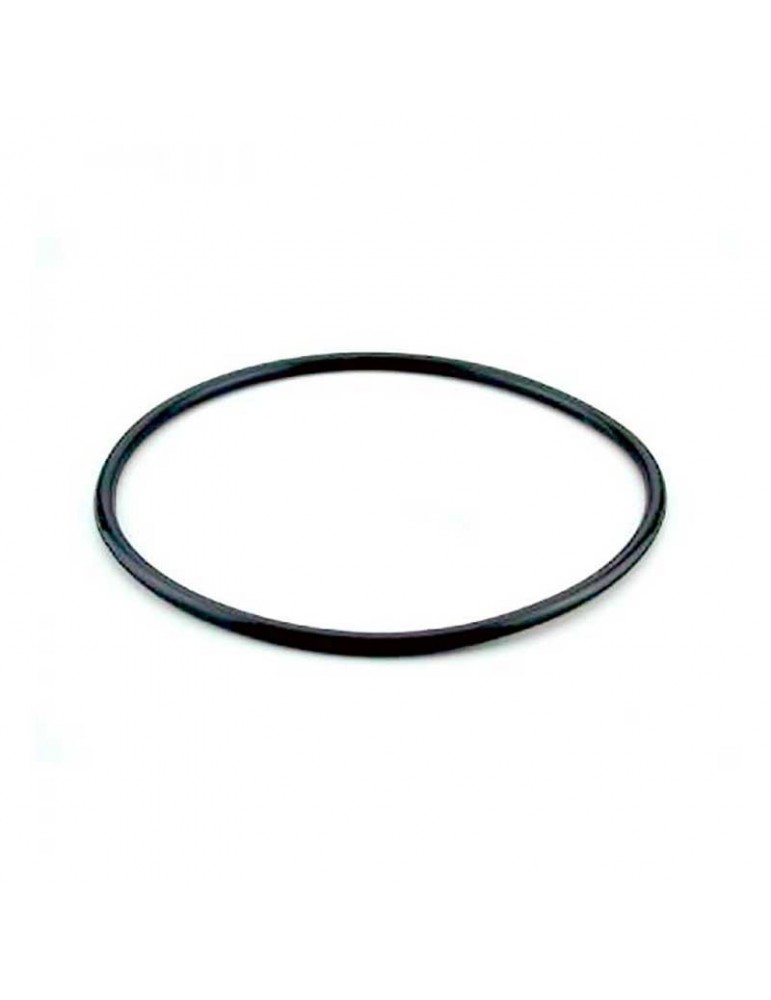 Junta tapa filtro piscina CORAL Neptuno Ciclon Belice Black 01012073
